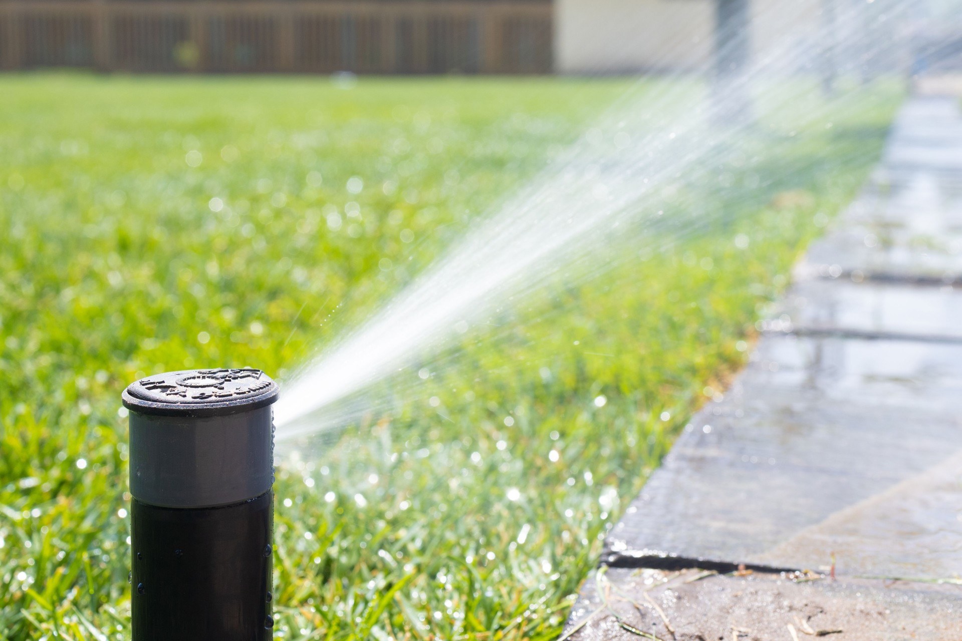 Lawn sprinkler watering grass in backyard